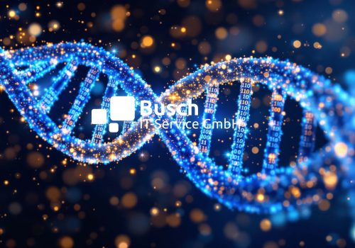 Firmenprofil-–-die-Busch-IT-DNA-